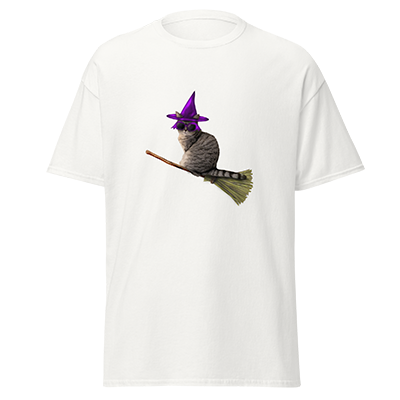 Catwitchbroom